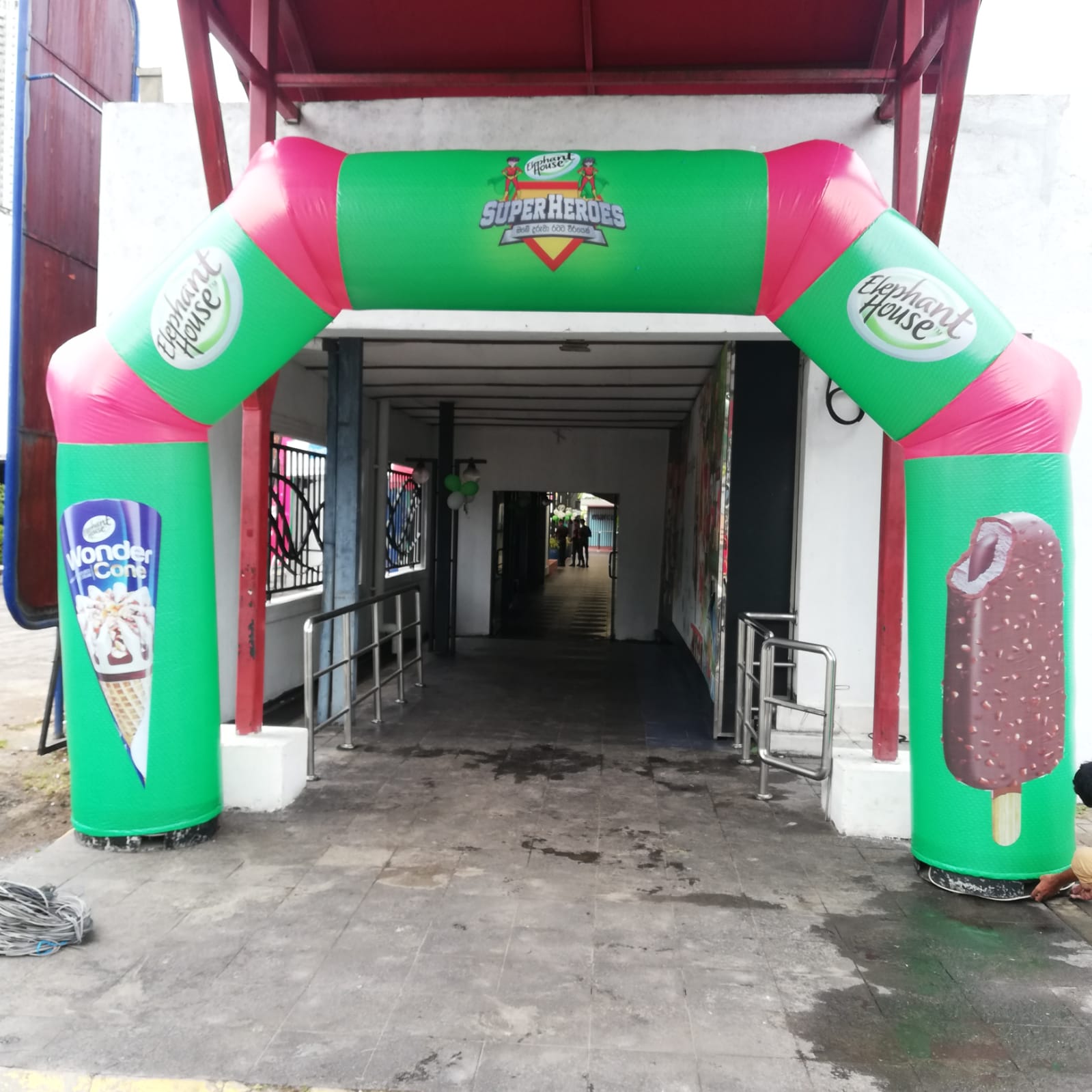 Elephant House Event - Image 3